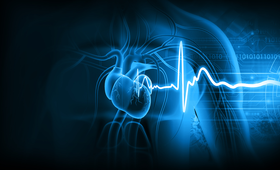 Groundbreaking Research Could Benefit Heart Valve Patients 